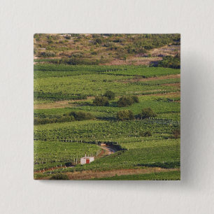 Badge Carré 5 Cm vignobles de Smokvica sur Korcula depuis la Toreta
