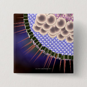 Badge Carré 5 Cm Virus Herpes