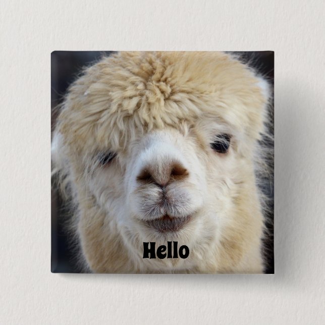 Badge Carré 5 Cm Visage d'alpaca mignon (Devant)