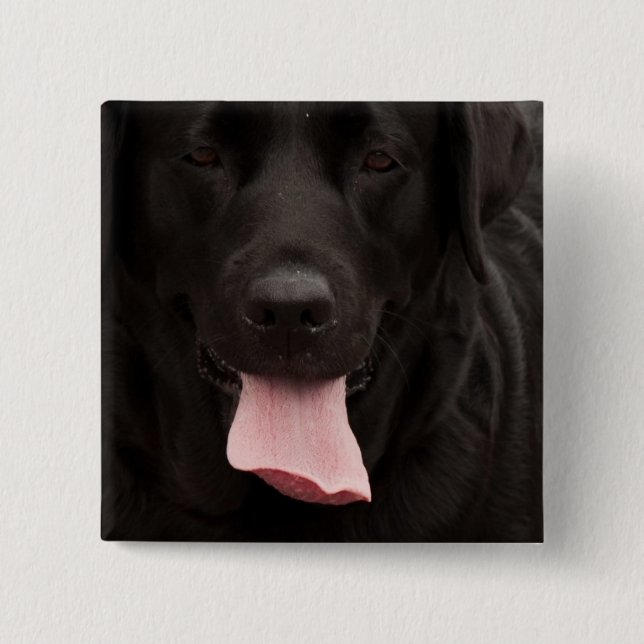 Badge Carré 5 Cm Visage de chien noir (Devant)