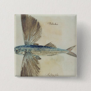 Badge Carré 5 Cm Vol-Poisson