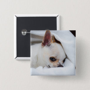 Badge Carré 5 Cm Votre chien animal de compagnie chiot photo person