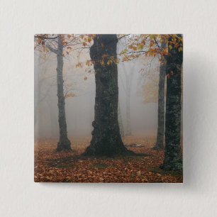 Badge Carré 5 Cm Vue automnale d'une forêt brumeuse, Grandfather 2