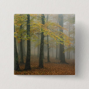 Badge Carré 5 Cm Vue d'automne sur la forêt de brouillard, Grand-p