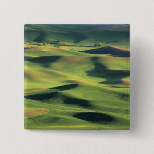 Badge Carré 5 Cm WA, comté de Whitman, terres agricoles de Palouse,