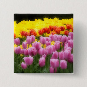 Badge Carré 5 Cm WA, vallée de Skagit, jardin de tulipes Roozengaar