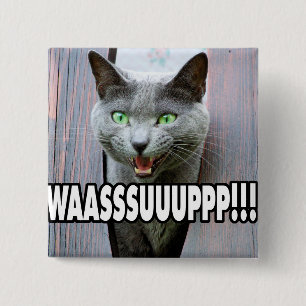 Badge Carré 5 Cm WASSUP - Mème de chat