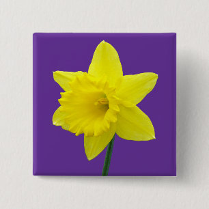 Badge Carré 5 Cm Welsh Daffodil - II - Square