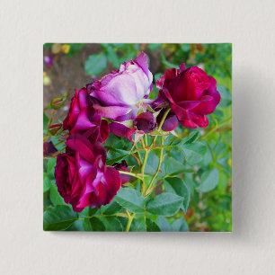 Badge Carré 5 Cm Wild Blue Yonder Rose #1 Button