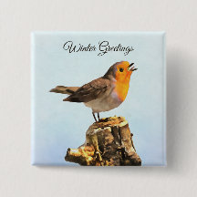 Winter Greetings. Robin singing