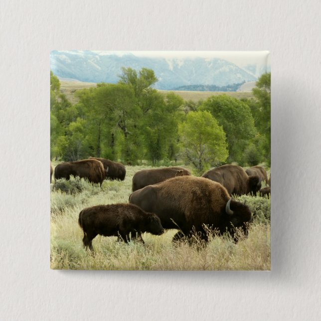 Badge Carré 5 Cm Wyoming Bison Nature Animal Photographie (Devant)