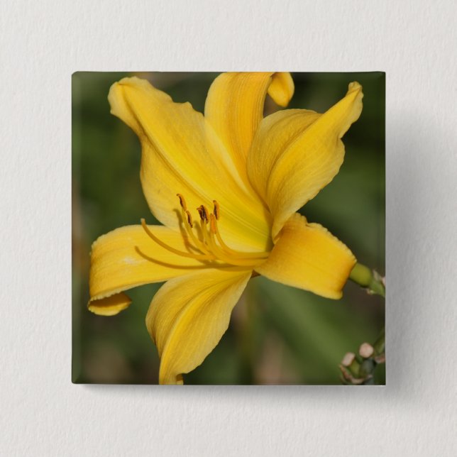 Badge Carré 5 Cm Yellow ornamental lily (Devant)