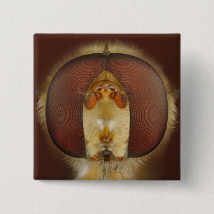 Badge Carré 5 Cm Yeux principaux et composés d'une mouche de vol