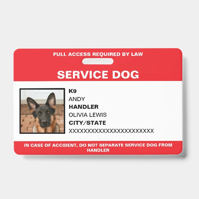 Badge Carte d'identification personnalisée pour chien d' (Avant)