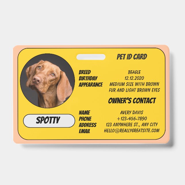 Badge Carte d'identité personnalisée pour animaux perdus (Avant)
