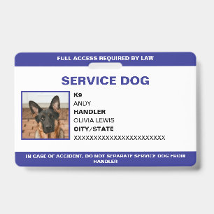 Badge Carte d'identité personnalisée pour chien de servi