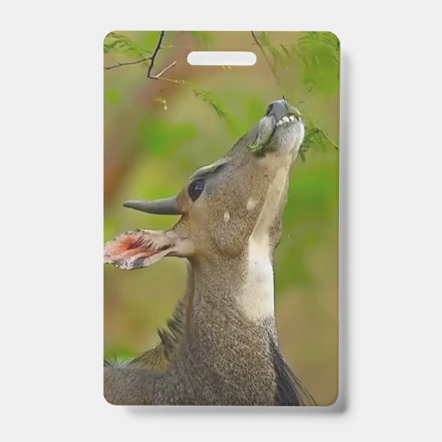Badge Cerf personnalisé (Avant)