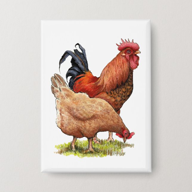 Badge Chicken And Rooster Art, Poultry, Farm Animals (Recto)