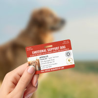 Chien d'assistance de service rouge 2 Logo & Photo