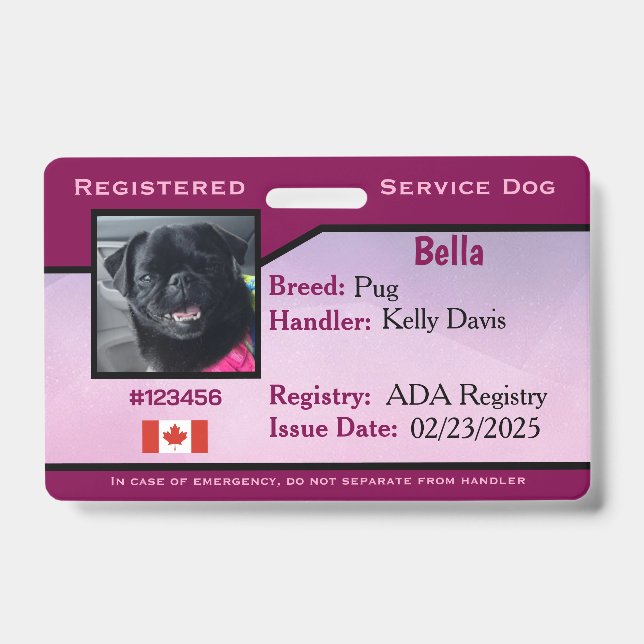 Badge Chien d'assistance Horizontal Violet (Avant)