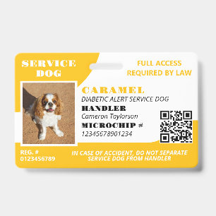 Badge Chien d'assistance Photo ID Code QR Jaune Blanc