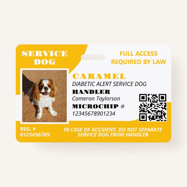 Badge Chien de service blanc jaune ID photo QR Code (Devant)