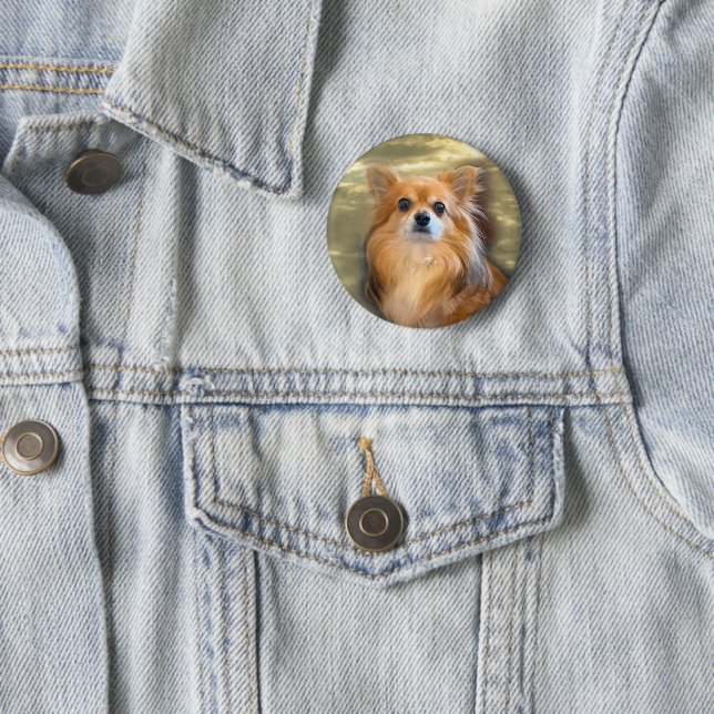 Badge Chihuahua Photo Fashion Pin (En situation)