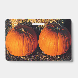 Badge Citrouilles jumelles vintage