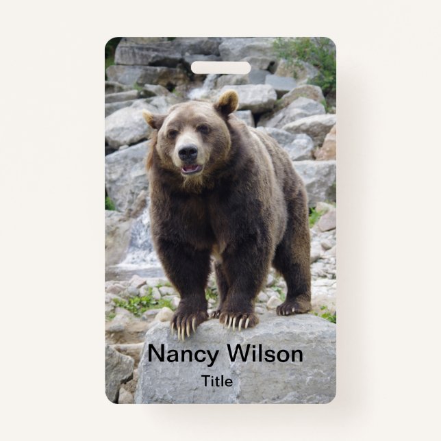 Badge Cook bear (Devant)