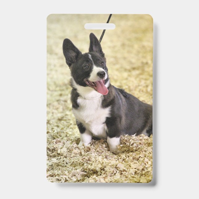 Badge Corgi (Avant)