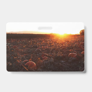 Badge Coucher de soleil sur le champ de citrouilles B