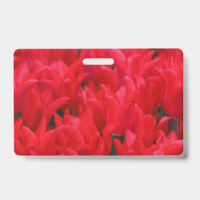 Badge Crimson Waves (Avant)