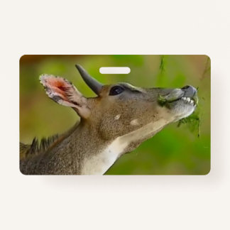 Badge Custom deer