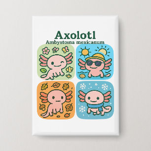 Badge Cute Axolotl Seasons Collection - Saisons