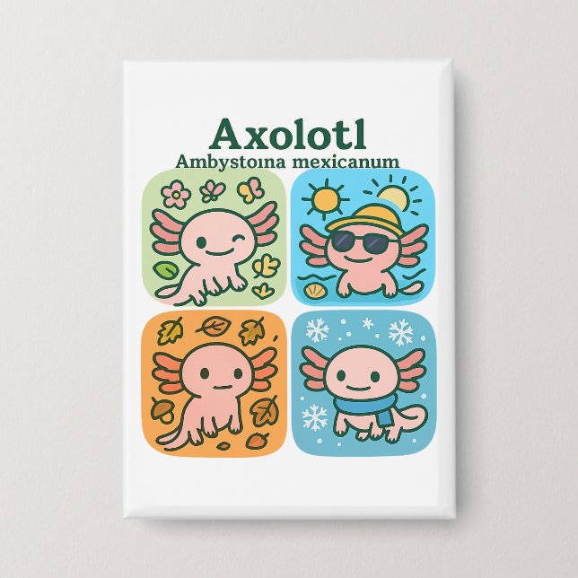 Badge Cute Axolotl Seasons Collection - Saisons (Recto)