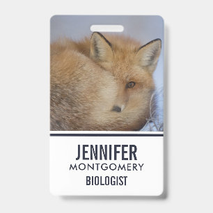 Badge Cute Little Fox Curling Up Winter Photo