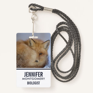 Badge Cute Little Fox Curling Up Winter Photo