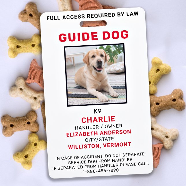 Badge de Photo d'Identification de Chien Guide Chi (Créateur téléchargé)