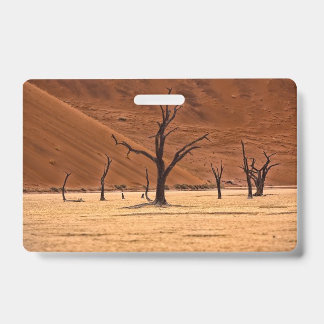 Badge Dead Vlei, Namibie (Avant)