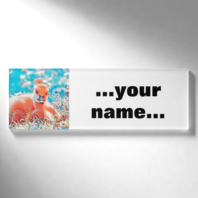 Badge D'identification AnimalMix_Bird_019 (Devant)
