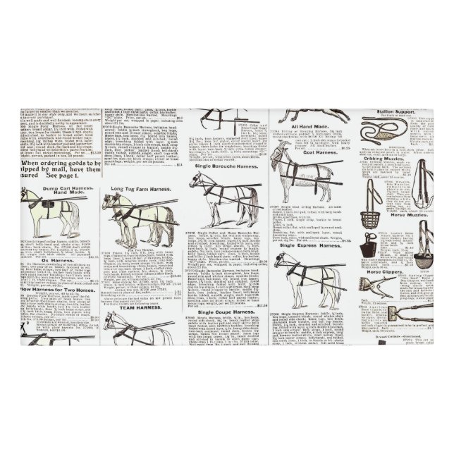 Badge D'identification Cheval Antique Publicité Journal Art (Devant)