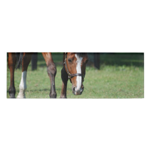 Badge D'identification Cheval quart magnifique
