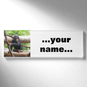 Badge D'identification Chimpanzée 001