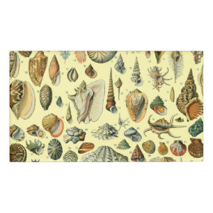 Badge D'identification Coquillages de coquillages Mollusk Clam Élégant Ar