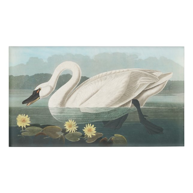 Badge D'identification cygne audubon cygnes d'eau blanche (Devant)