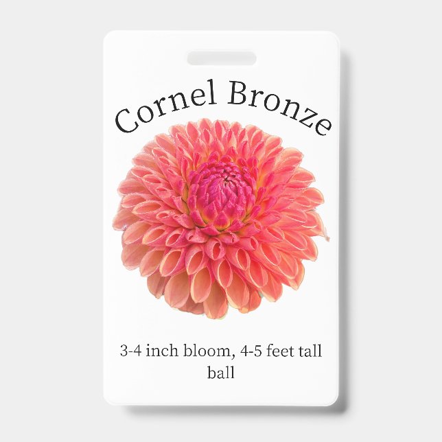 Badge d'identification Dahlia Bronze Cornel (Avant)