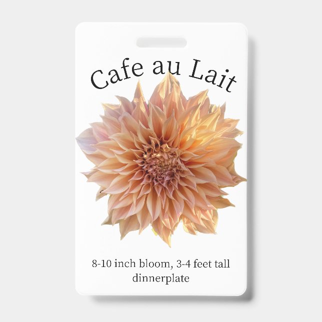 Badge d'identification Dahlia Café au Lait (Avant)