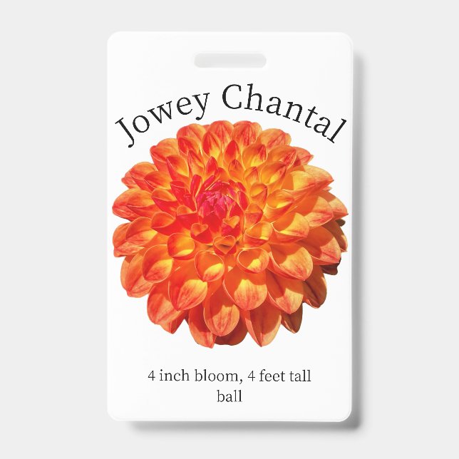 Badge d'identification Dahlia de Jowey Chantal (Avant)