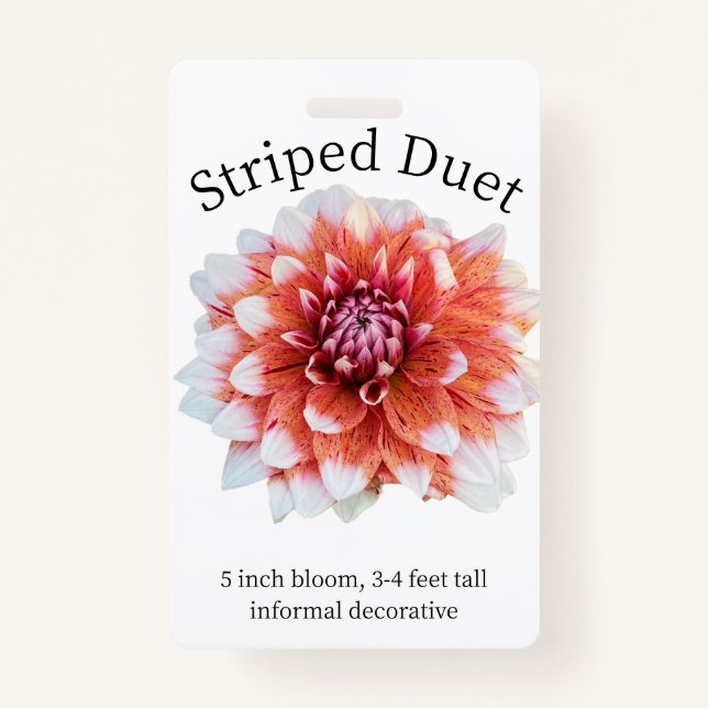 Badge d'identification Dahlia Duet strié (Devant)