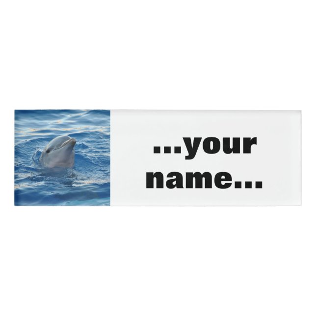 Badge D'identification Dauphin20151021 (Devant)